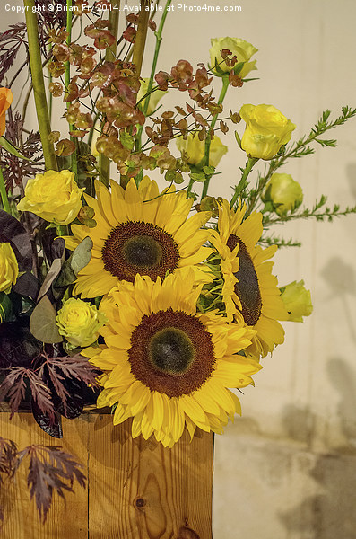  Sunflower arrangement Picture Board by Brian Fry