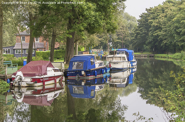 River reflections  Picture Board by Brian Fry