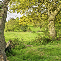Buy canvas prints of  Countryside scene by Brian Fry