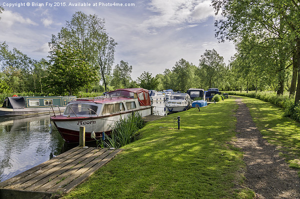 River Scene at Papermill Lock  Picture Board by Brian Fry