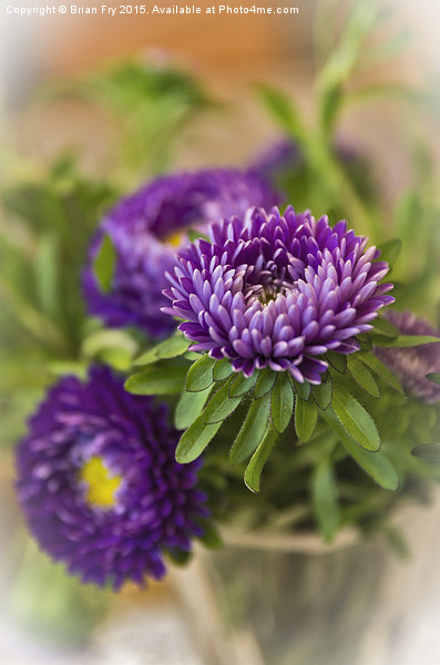  Aster in a vase Picture Board by Brian Fry