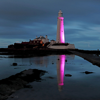 Buy canvas prints of St Marys Lighthouse, Pretty in Pink by Graeme Darbyshire