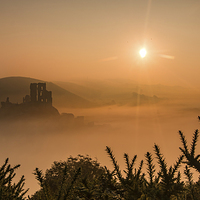 Buy canvas prints of Misty Sunrise at Corfe Castle by Kevin Browne