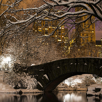Buy canvas prints of Central Park Winter by Kevin Ainslie