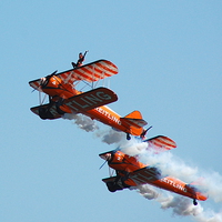 Buy canvas prints of Wing Walkers by Steven Cole