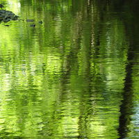 Buy canvas prints of Green water by Ralph Jackson