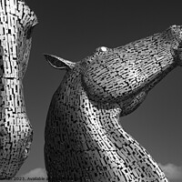 Buy canvas prints of The Kelpies by Dave Bowman
