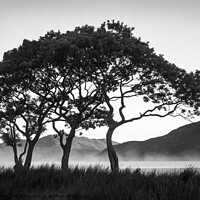 Buy canvas prints of Morning Mist over Crummock Water by Dave Bowman