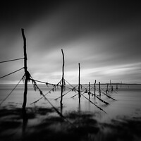 Buy canvas prints of Solway Firth Fishing Nets by Dave Bowman
