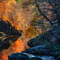 Buy canvas prints of Autumn on River Garry by Dave Bowman