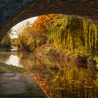 Buy canvas prints of Autumn on the Grand Union Canal by Dave Bowman