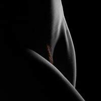 Buy canvas prints of Nude Study No10 by Dave Bowman
