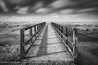 Click to show how this picture will look as a piece of wall art