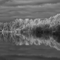 Buy canvas prints of Infrared Reflections by Sarah Pymer
