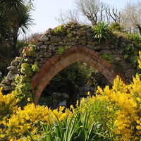 Buy canvas prints of Archway and Yellow flowers by Lynette Holmes