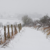 Buy canvas prints of Snowy Path by Lynette Holmes