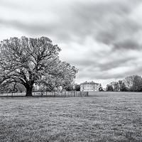 Buy canvas prints of  Old tree at Danson Park by John Ly