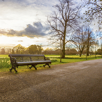 Buy canvas prints of  Empty Benches in Greenwich Park by John Ly
