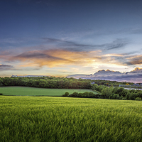 Buy canvas prints of  Sunset on Wheatfields in Kent by John Ly