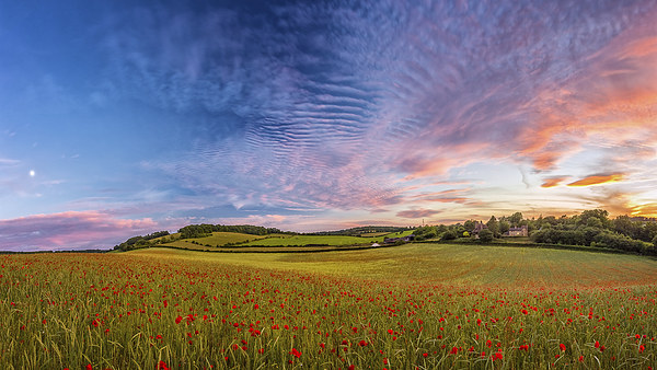 Dramatic Sunset on a Poppy Field in Kent Canvas Print by John Ly
