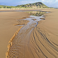 Buy canvas prints of Sand Dune Newburgh Beach by Eric Watson