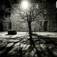 Buy canvas prints of Casting Shadows by Chris Murphy