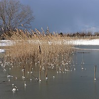 Buy canvas prints of Snowy Lake by Claire Colston