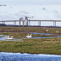 Buy canvas prints of Geese flying Sheppey Bridge by Claire Colston
