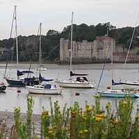 Buy canvas prints of Upnor Castle by Claire Colston