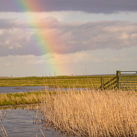 Buy canvas prints of Somewhere over the Rainbow by Claire Colston