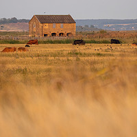 Buy canvas prints of School house Swale estuary by Claire Colston