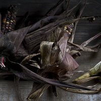 Buy canvas prints of Some Old Corn by Andy Davis