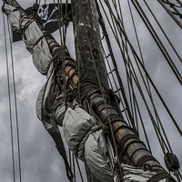 Buy canvas prints of Pirate Matthew by Andy Davis