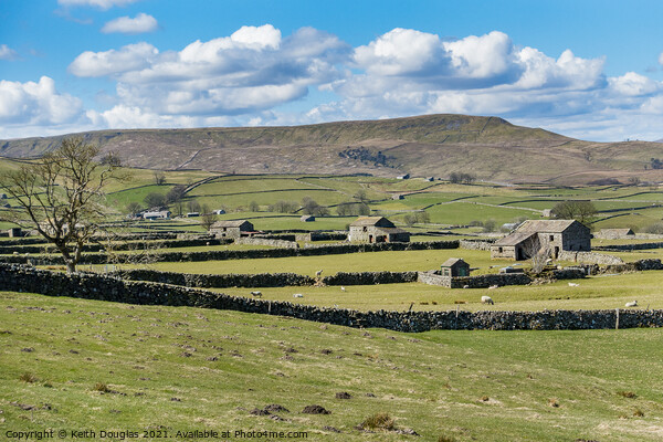 Yorkshire Dales Barns Picture Board by Keith Douglas