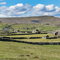 Buy canvas prints of Yorkshire Dales Barns by Keith Douglas