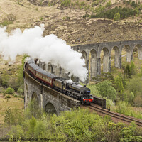Buy canvas prints of The Jacobite Steam Train at the Glenfinnan Viaduct by Keith Douglas