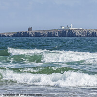 Buy canvas prints of The Farne Islands by Keith Douglas