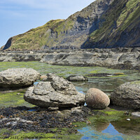 Buy canvas prints of Rocks in Robin Hoods Bay, North Yorkshire by Keith Douglas