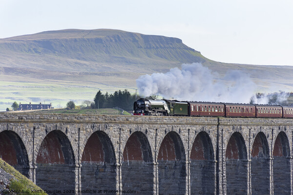 Steam Locomotive Tornado on the Ribblehead Viaduct Picture Board by Keith Douglas