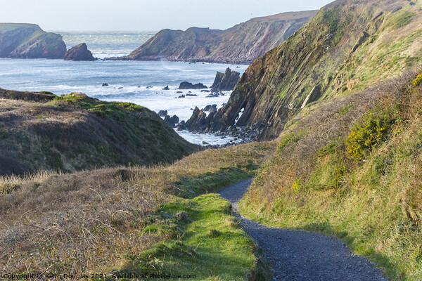 The path to Marloes Sands, Pembrokeshire Picture Board by Keith Douglas