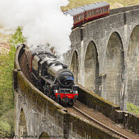 Buy canvas prints of The Jacobite Crosses the Glenfinnan Viaduct by Keith Douglas