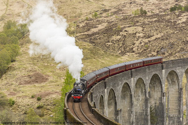 The Jacobite Steam Train on the Glenfinnan Viaduct Picture Board by Keith Douglas