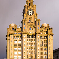 Buy canvas prints of The Liver Building, Liverpool by Keith Douglas