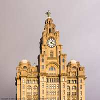 Buy canvas prints of The Liver Building in Liverpool by Keith Douglas