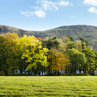 Buy canvas prints of Autumn Colours at Ullswater by Keith Douglas