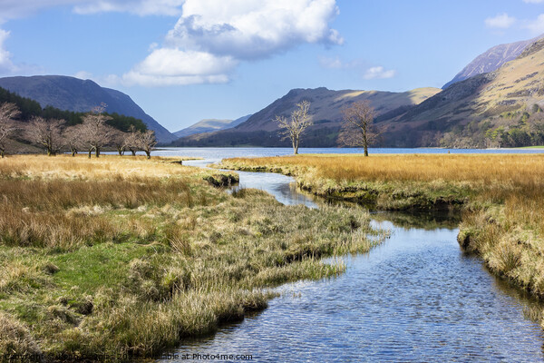 Buttermere, Lake District Picture Board by Keith Douglas