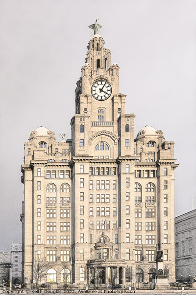 The Liver Building Picture Board by Keith Douglas