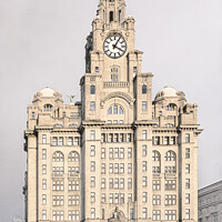 Buy canvas prints of The Liver Building by Keith Douglas