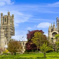 Buy canvas prints of Ely Cathedral, Cambridgeshire by Keith Douglas