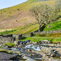 Buy canvas prints of Barbondale by Keith Douglas